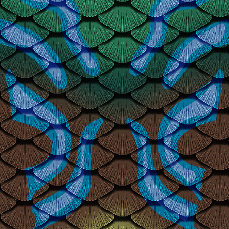 Salina Design