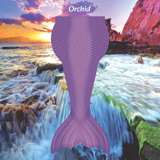 Prismatic Rainbow Tetra - Orchid