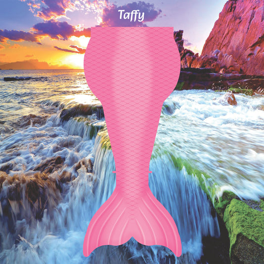 Prismatic Rainbow Tetra - Taffy