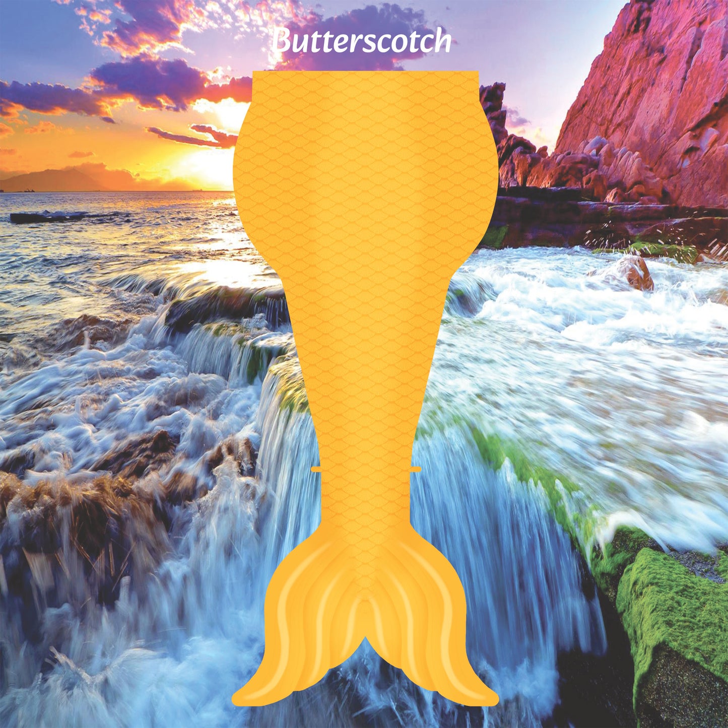 Prismatic Rainbow Tetra - Butterscotch